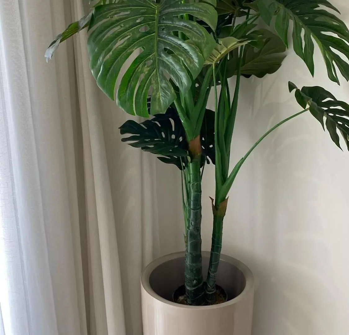 Maarif Cosy Apartment - Dynasty Estate Casablanca